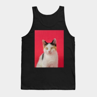 kitten on pink Tank Top